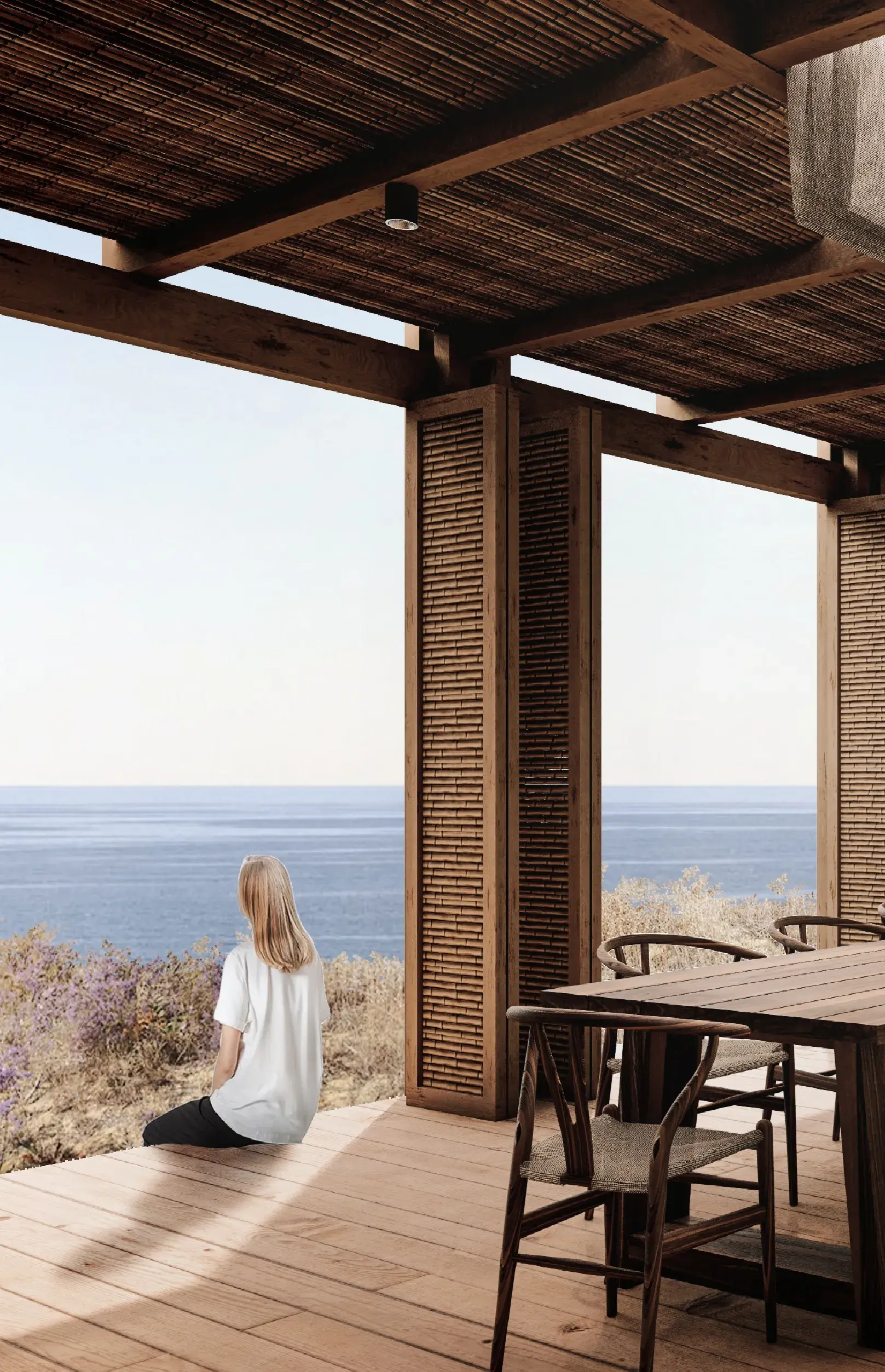 Lynne Remodel — residential remodel by Symbiotica in San José del Cabo
