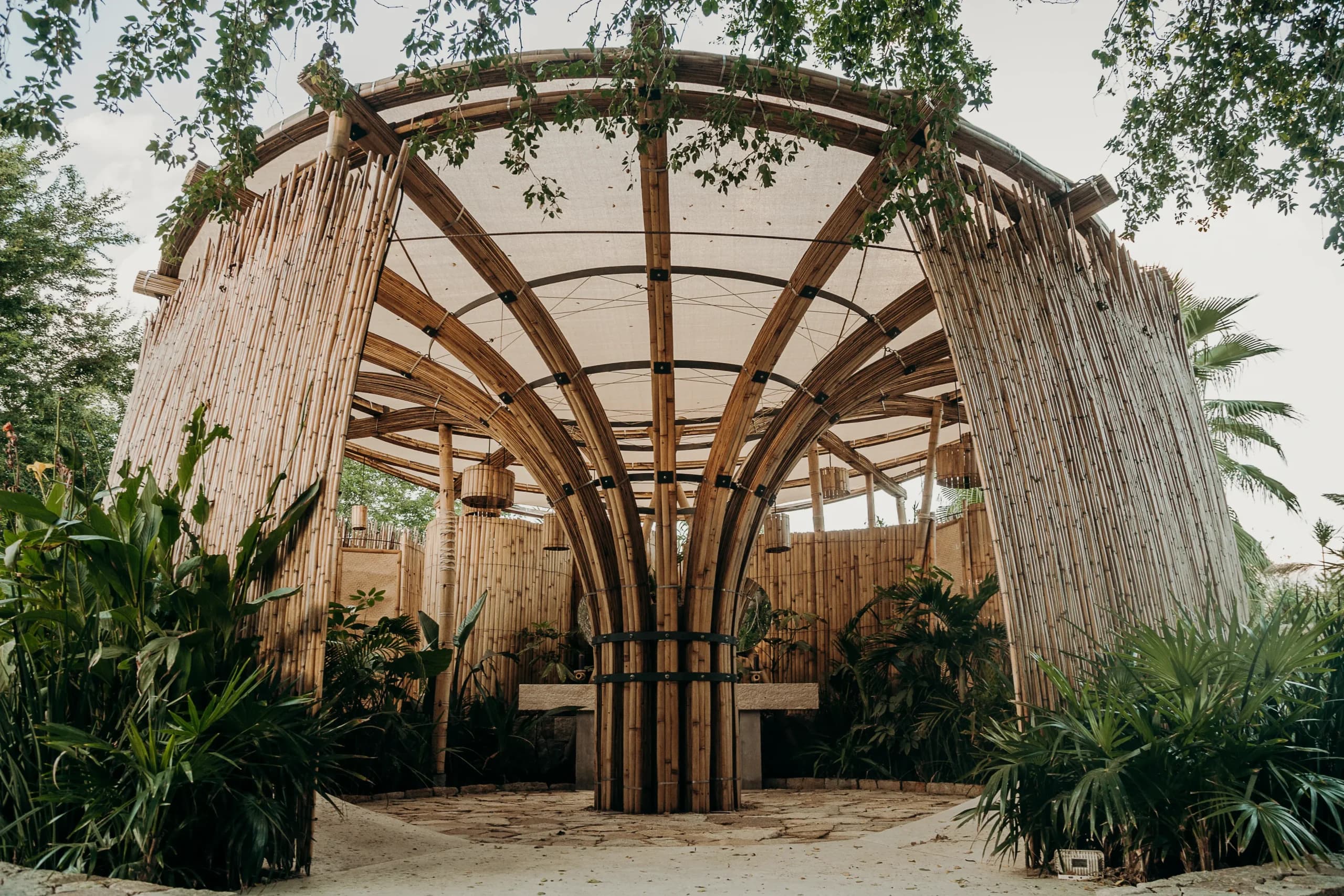 Puerto Raíz — natural architecture pavilion by Symbiotica